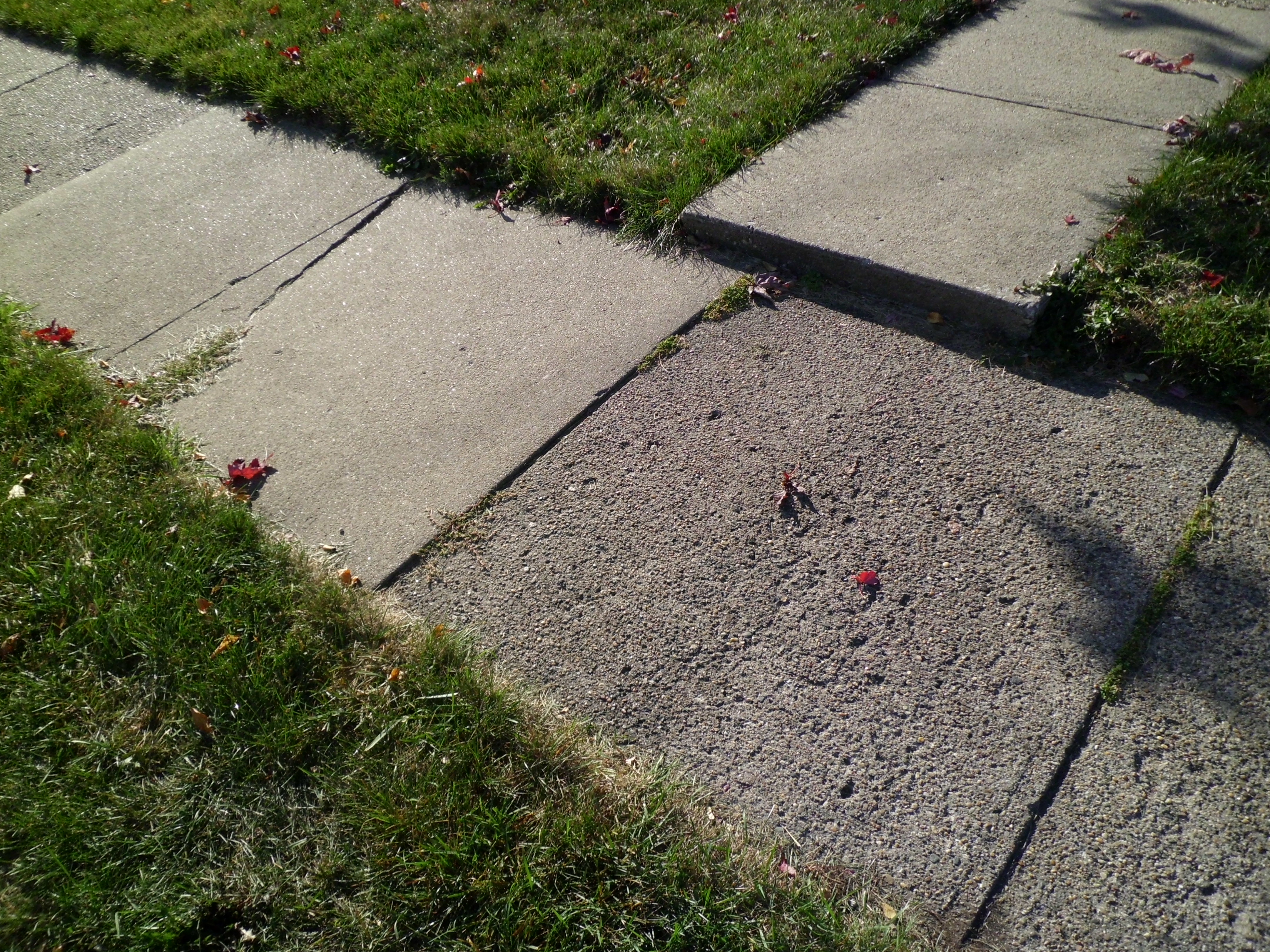 Before & After Pictures Terry's Quality Concrete